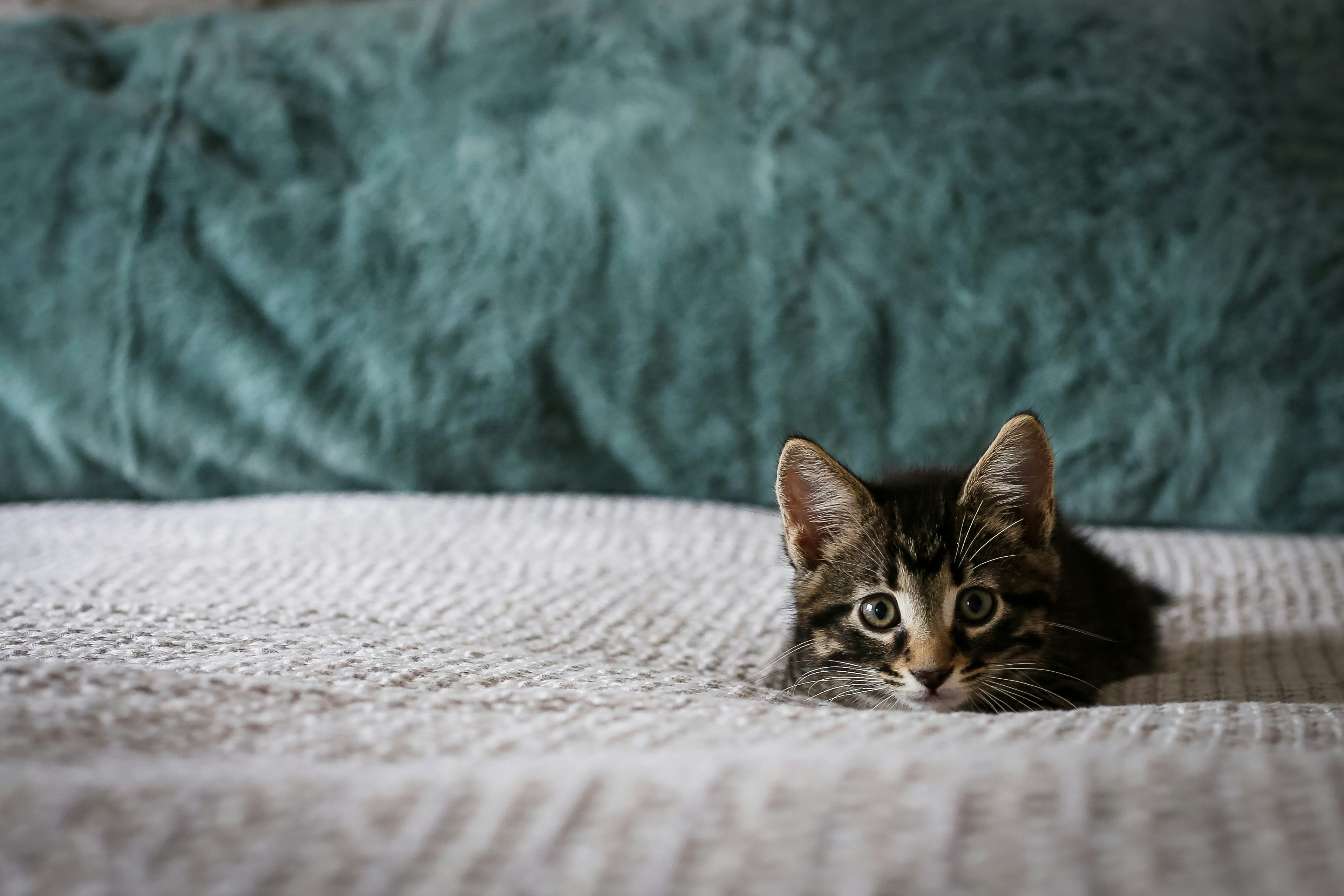 Photo by catch_a_vibe_photo