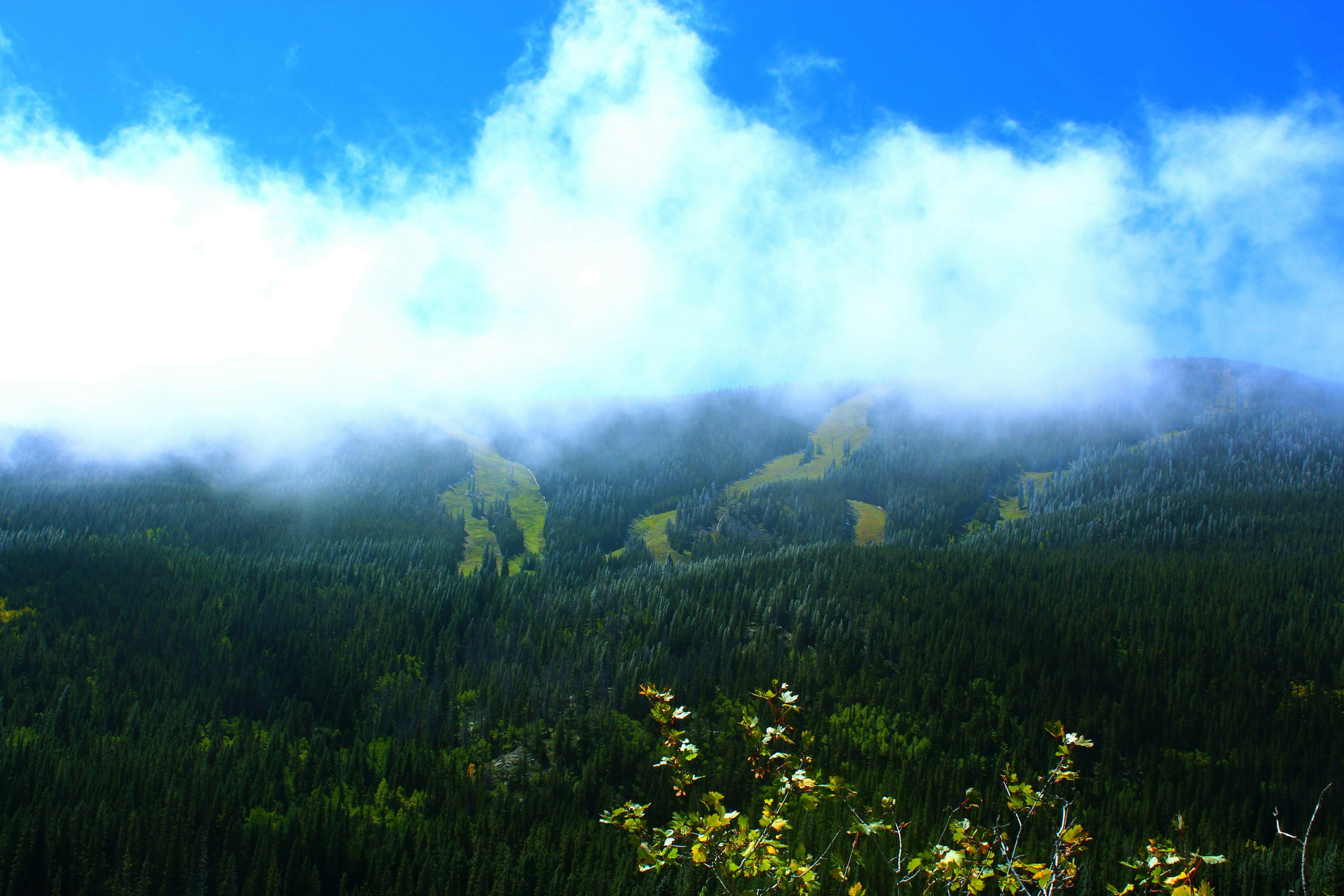 Photo by lucadpphoto