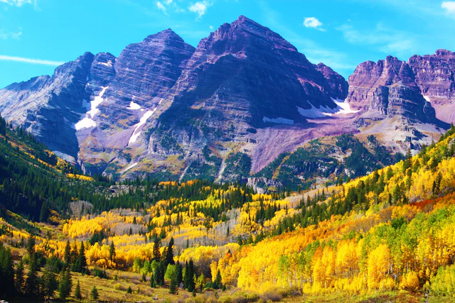 The Maroon Bells peaks above green aspen trees near Aspen, Colorado