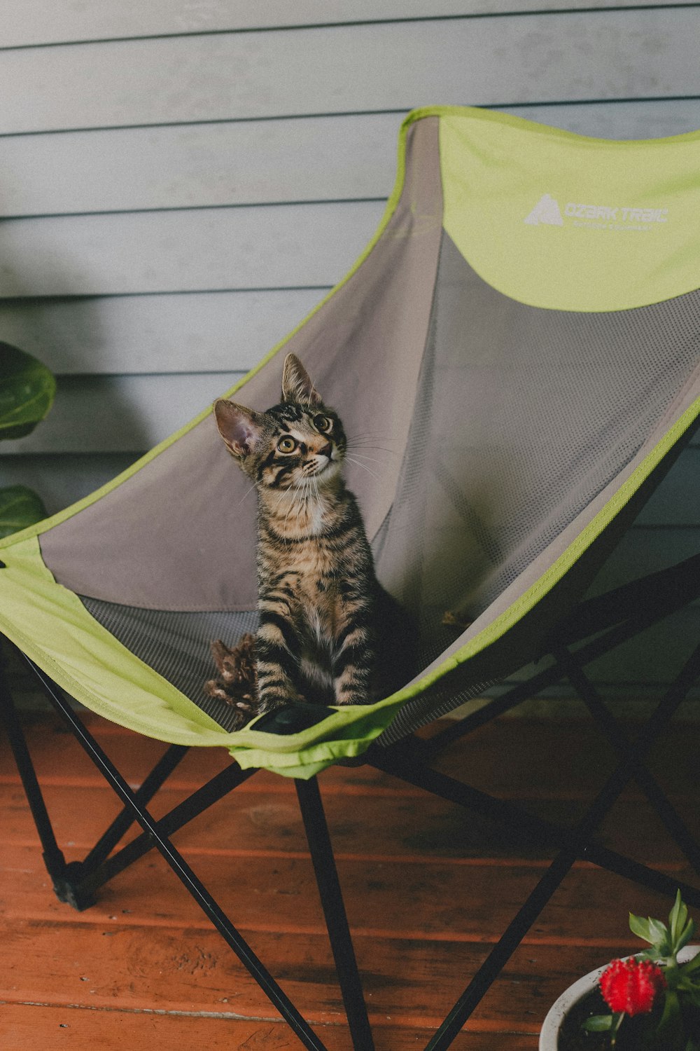 short-fur orange and green folding chair