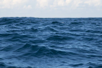 A dynamic shot of waves in the Pacific Ocean, reflecting the vastness of the global market.