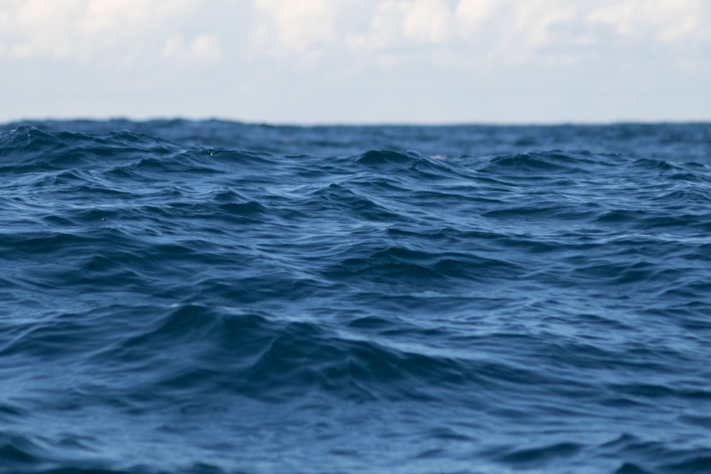 mare sotto il cielo azzurro