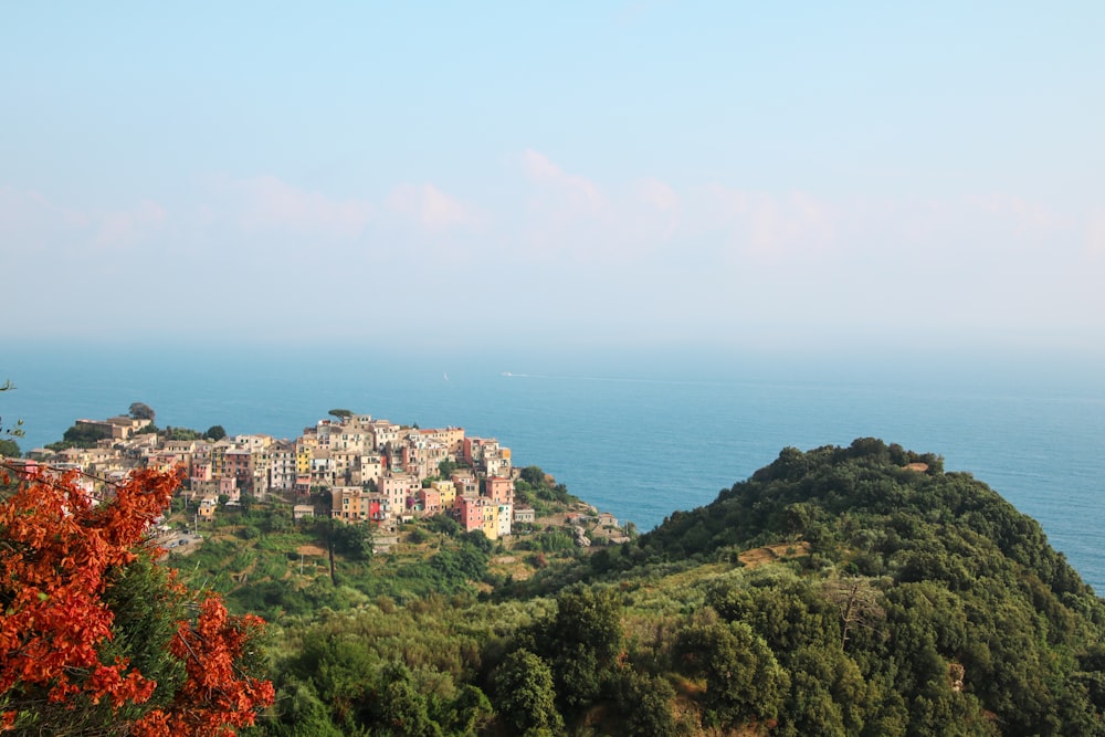 aerial photography of buildings beside sea