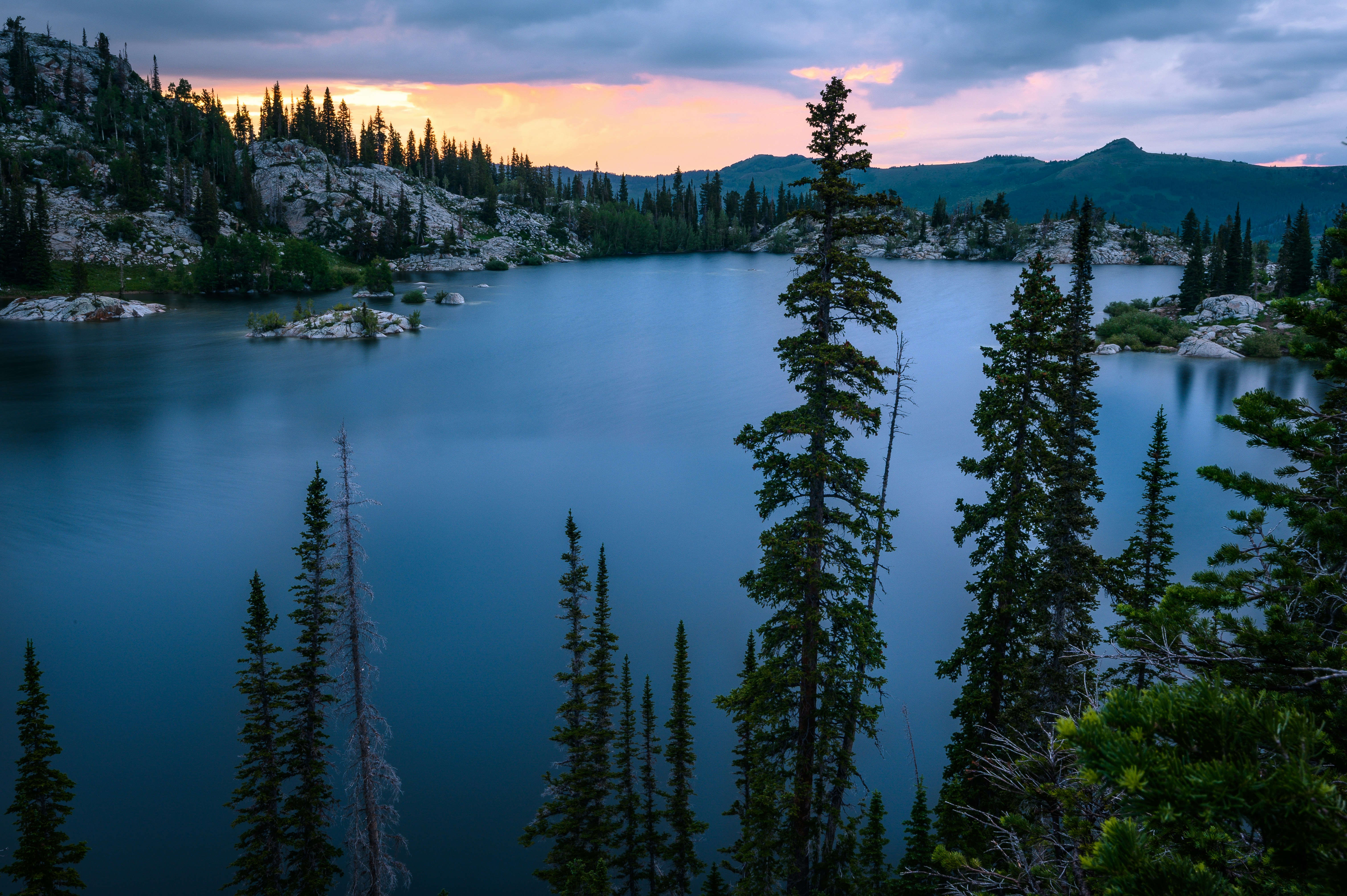 나무 옆의 물길