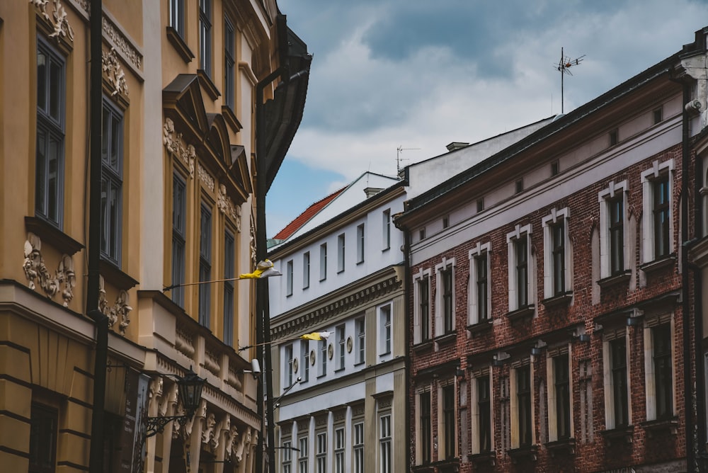 brown concrete buildings during daytime