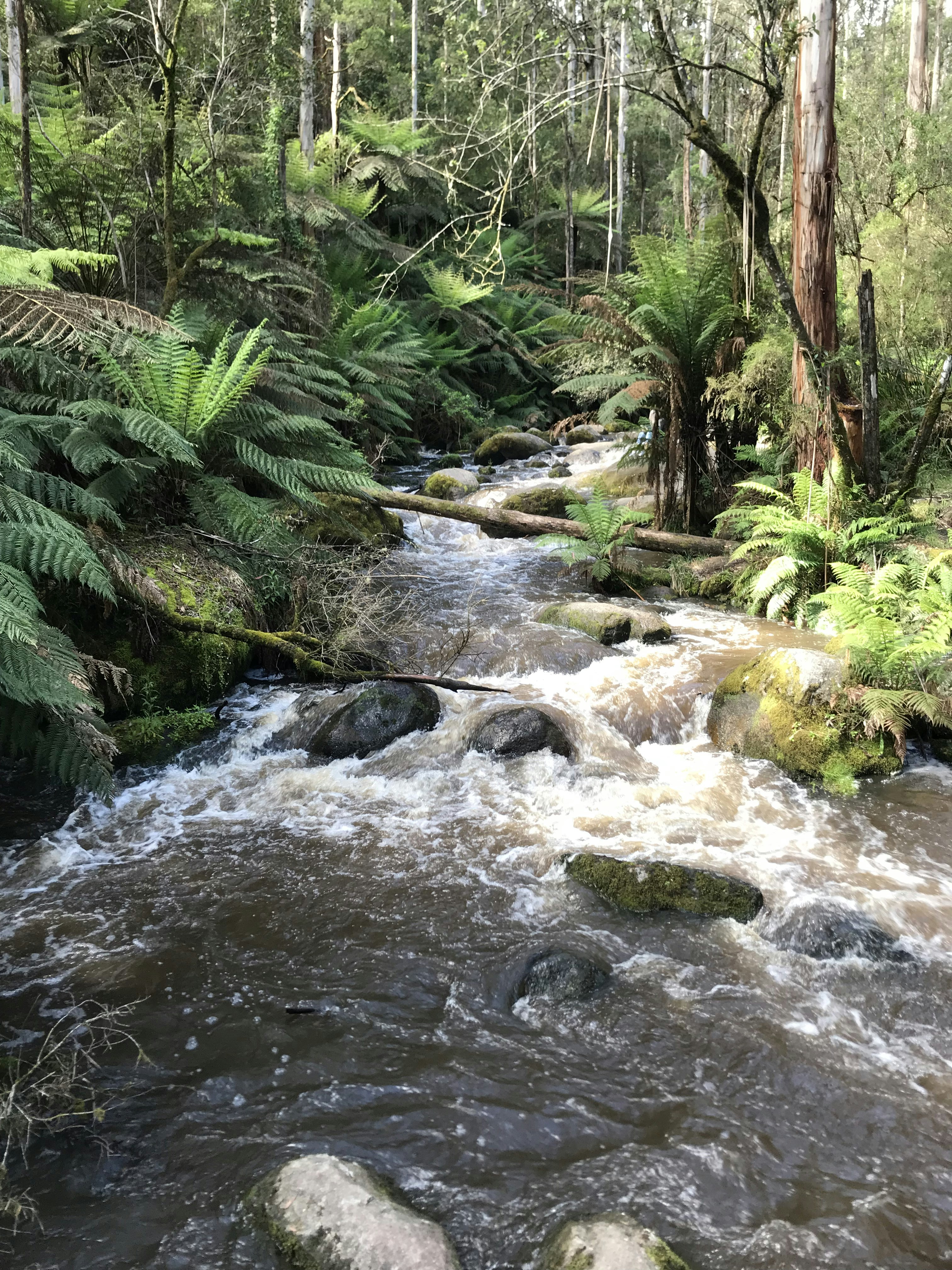 Photo by myrtleschilling