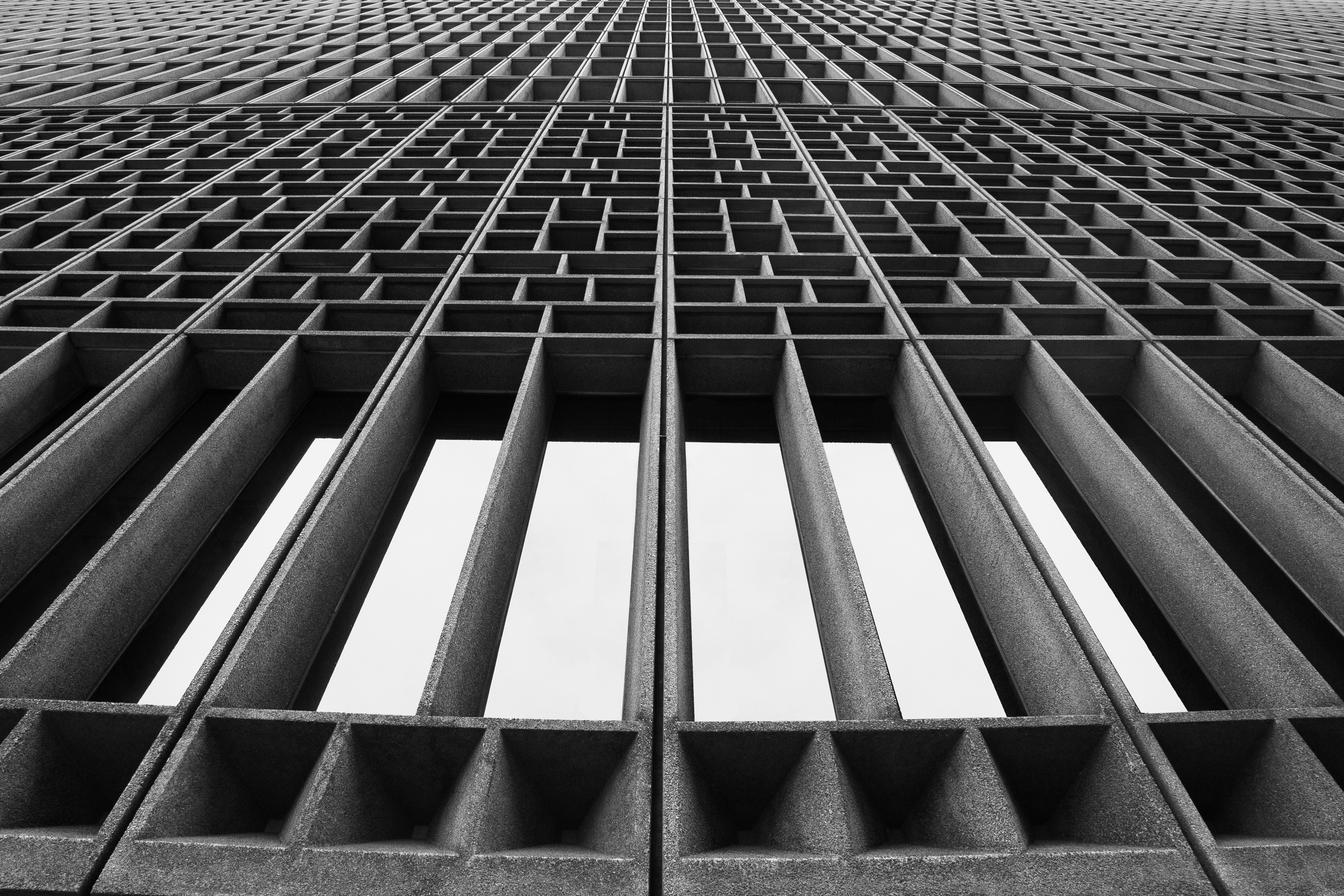 Photo by spring_fed_images