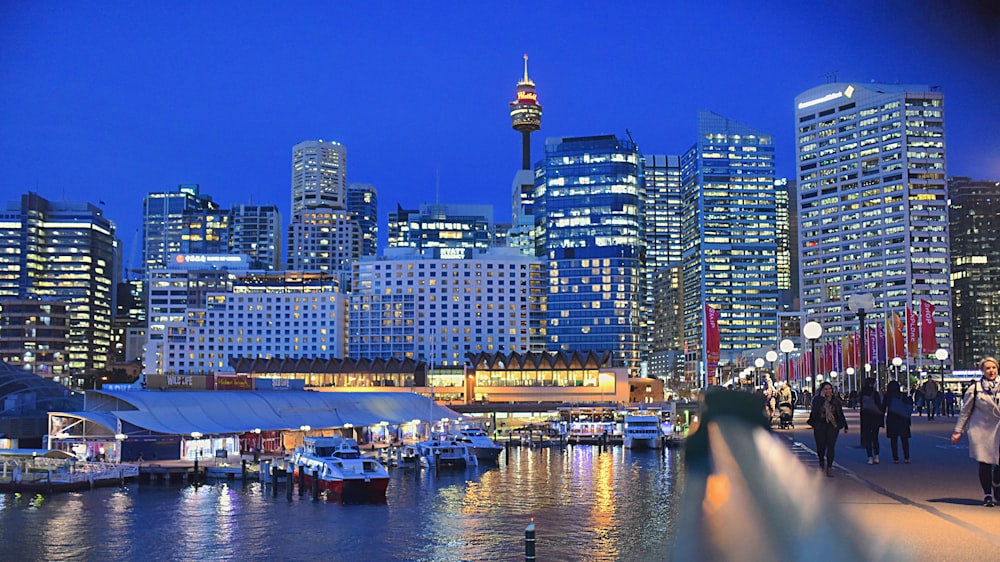 buildings beside sea during nighttime