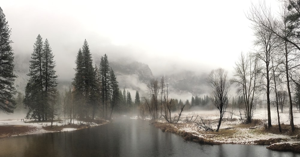 Un fiume che attraversa una foresta coperta di neve