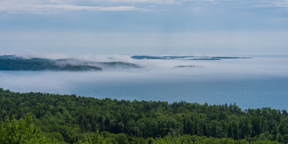 birds eye photography of body of water