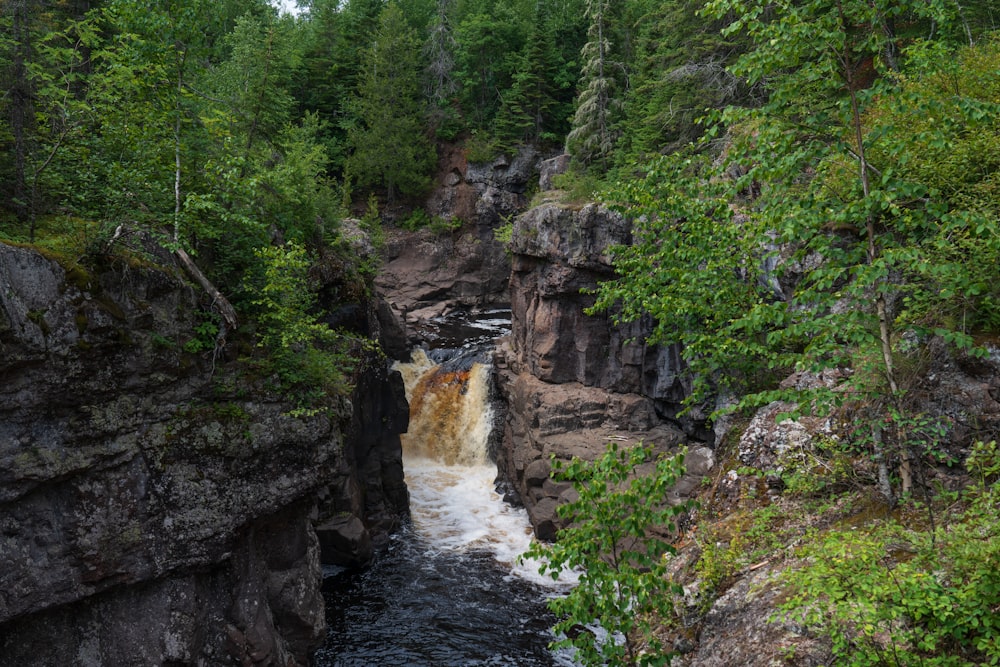 waterfall surrounded by trees