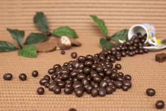 A bowl filled with glossy chocolate balls dusted lightly with cocoa powder.