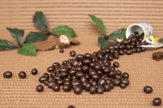 A bowl filled with glossy, round chocolate balls sprinkled with cocoa powder.