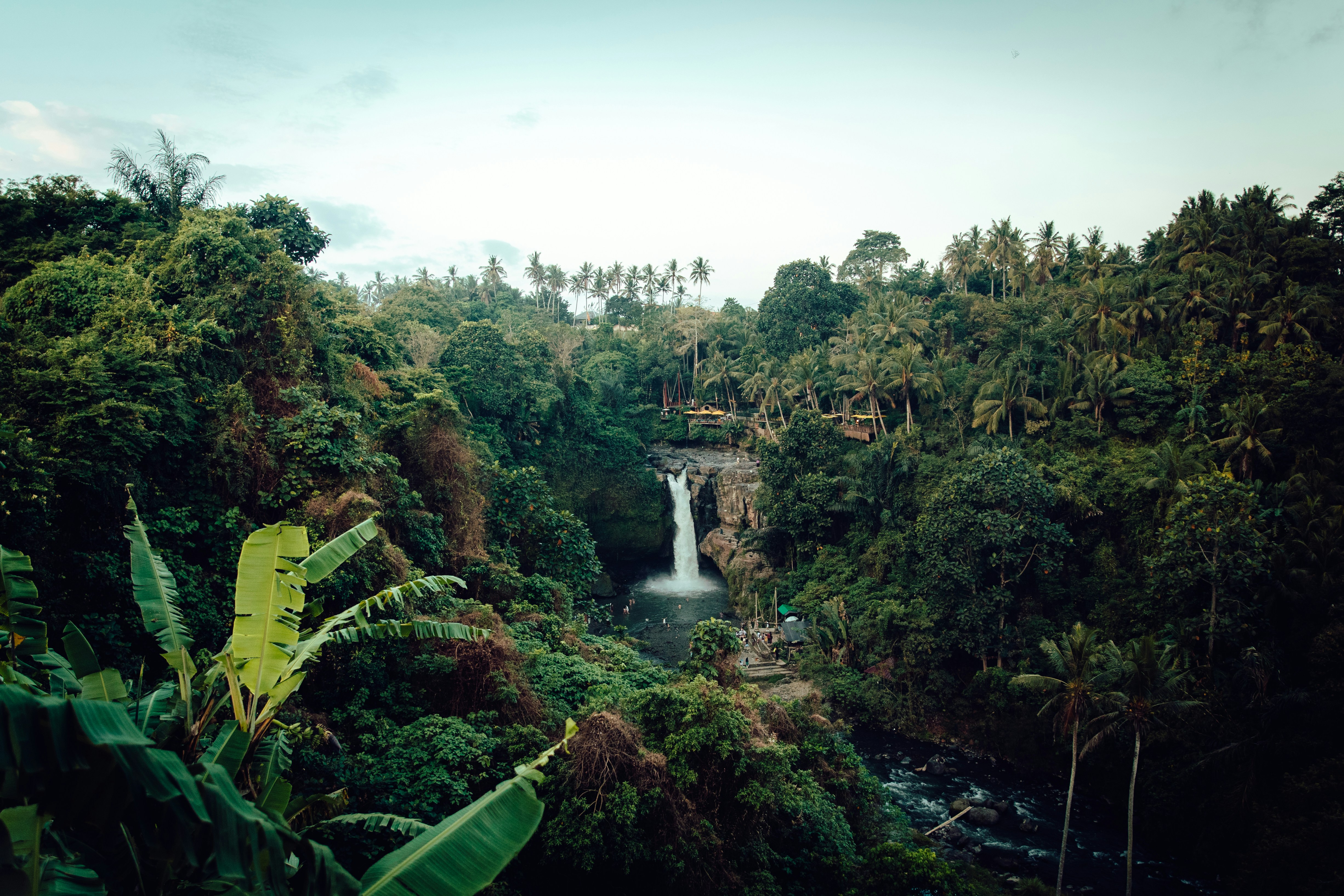 Levuka Rainforest Recreation