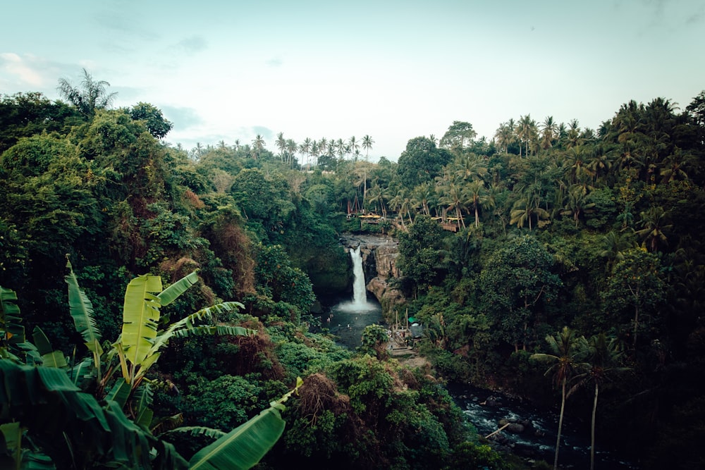 waterfalls beside trees