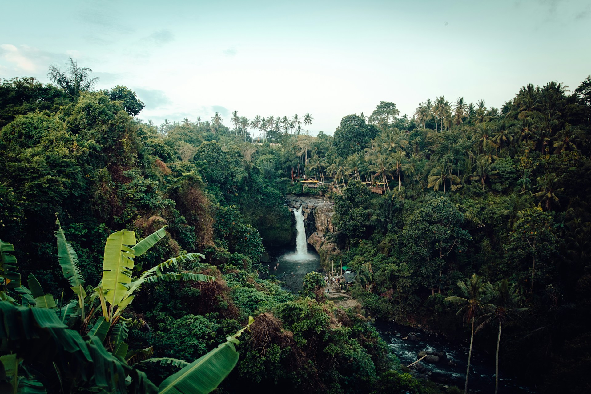 waterfalls beside trees