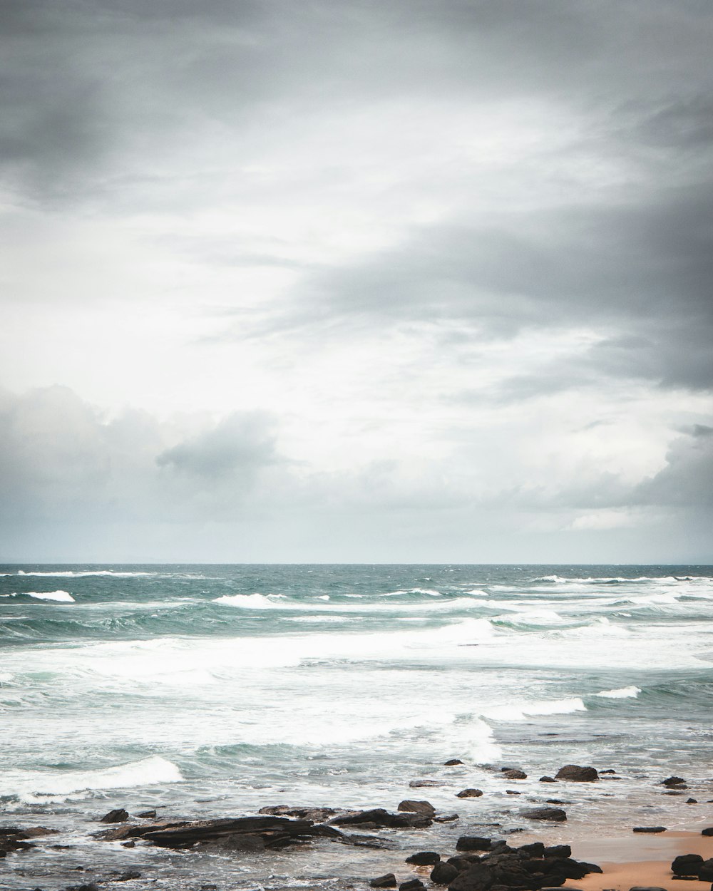 seashore during daytime