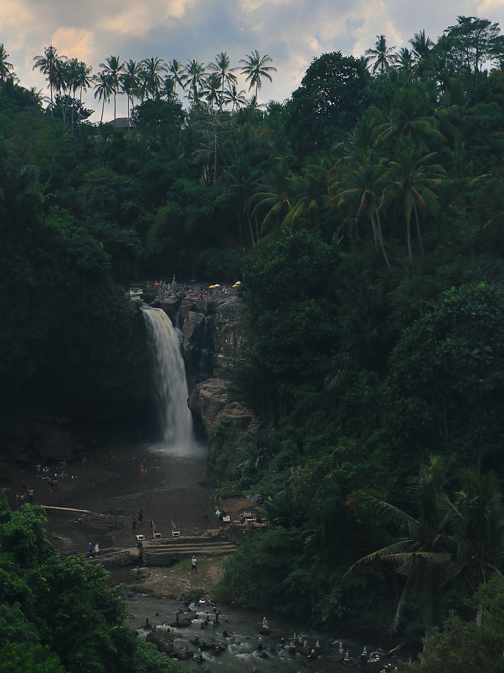 waterfalls surrounded by trees