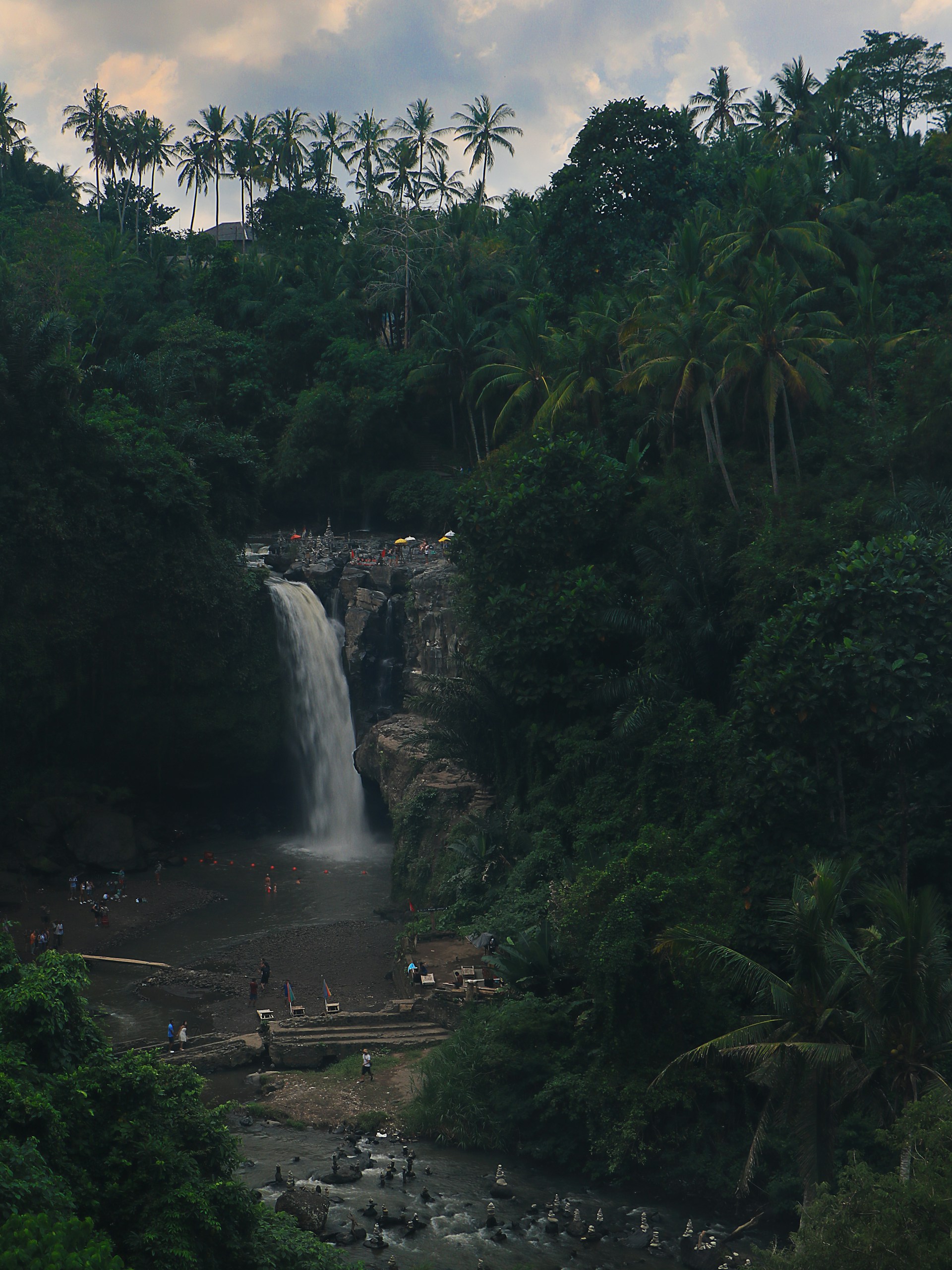 waterfalls surrounded by trees