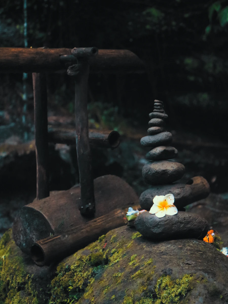 Fuentes de agua