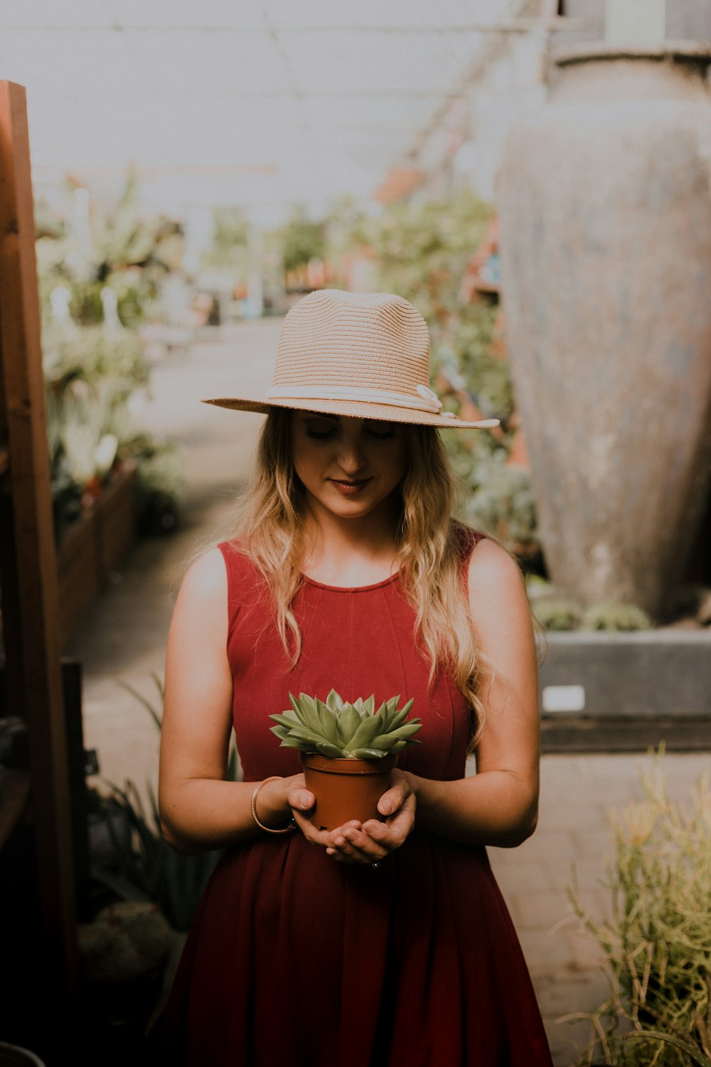 mujer sosteniendo maceta de planta suculenta