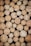 Multiple cut logs arranged closely together, showcasing various circular patterns and wood grain textures. The logs are cut smoothly, revealing the rings and lines that indicate growth over time.