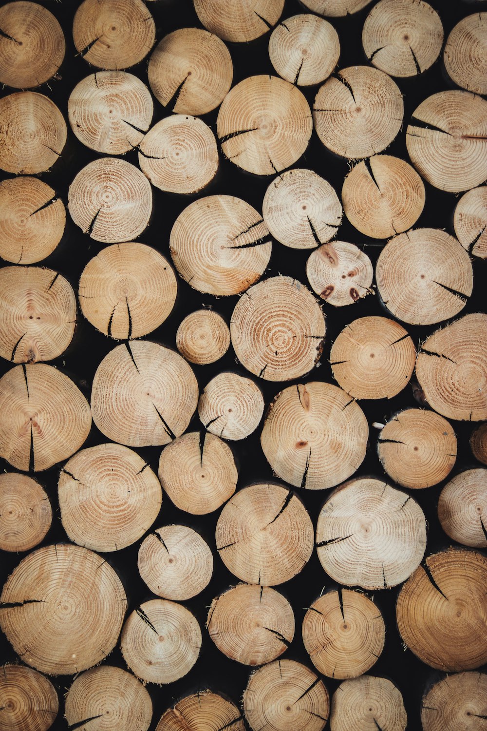 a pile of cut logs stacked on top of each other