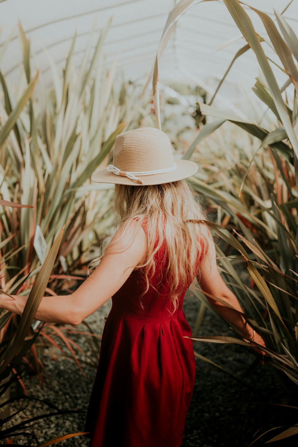 mulher em pé ao lado das plantas