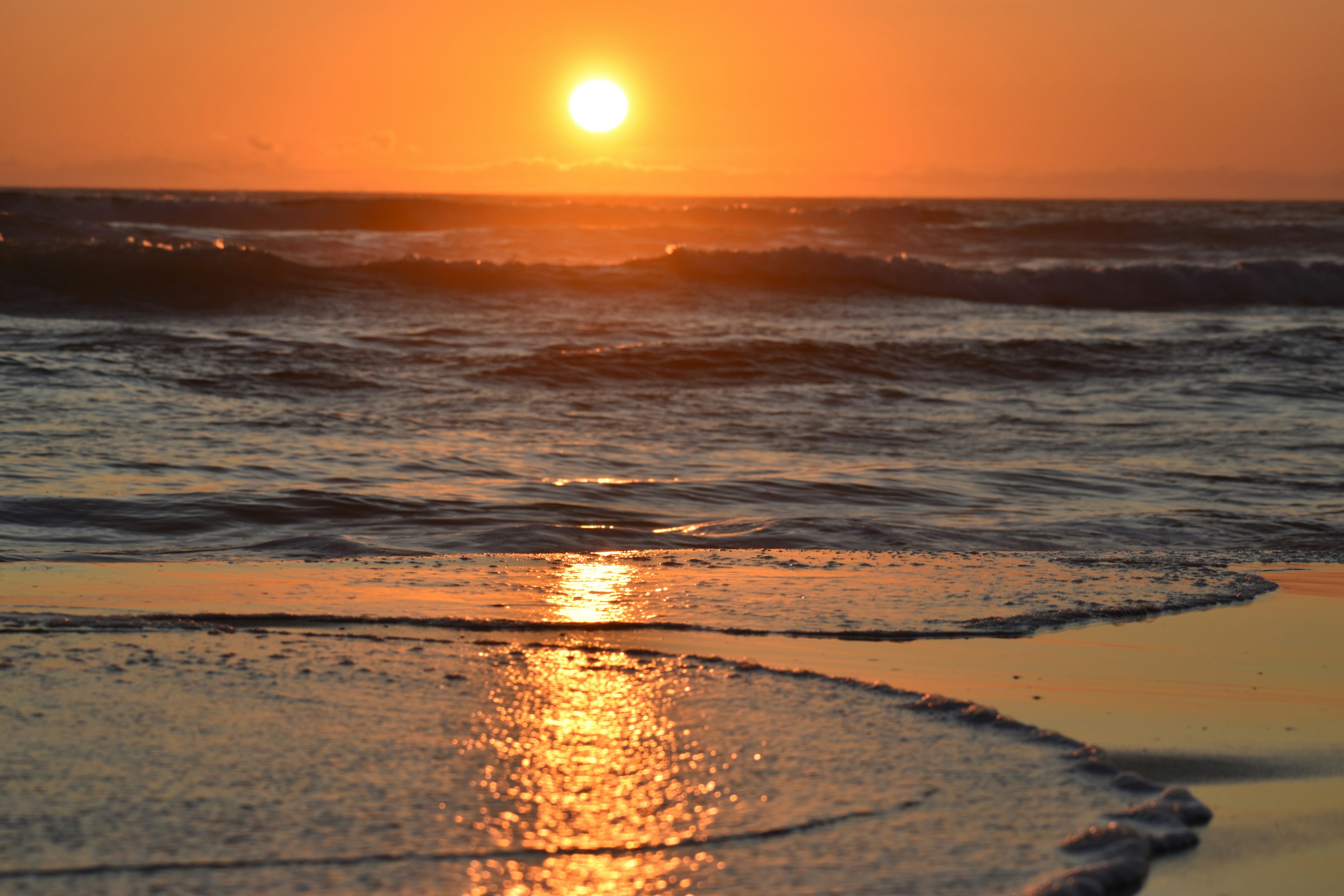 Photo by pictures102