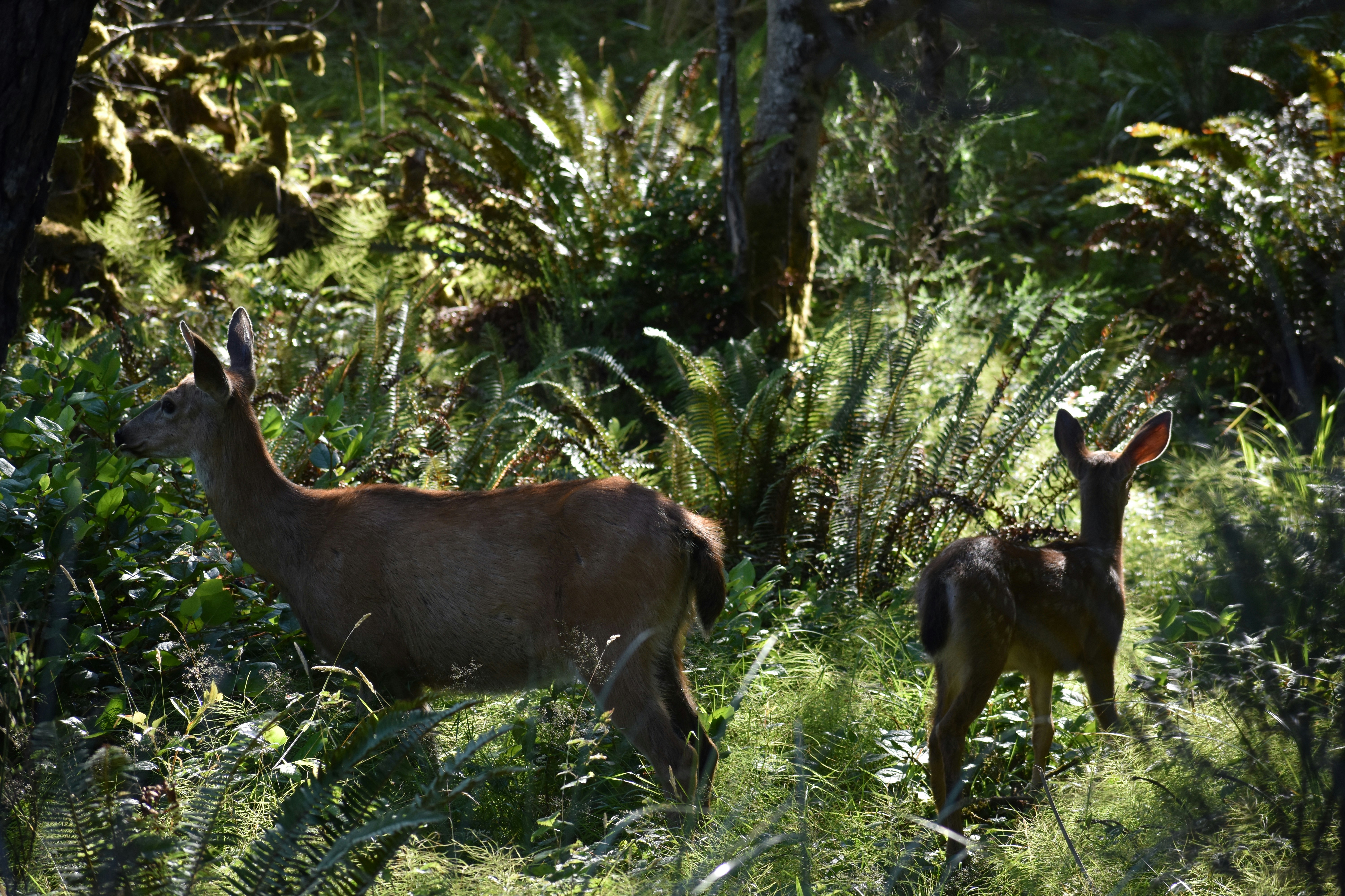 Photo by pictures102