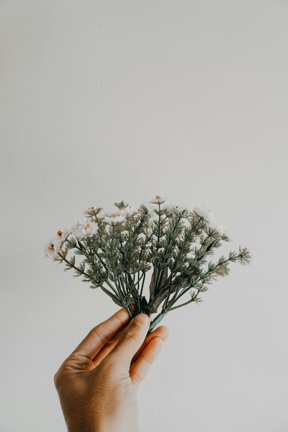 white flower decor