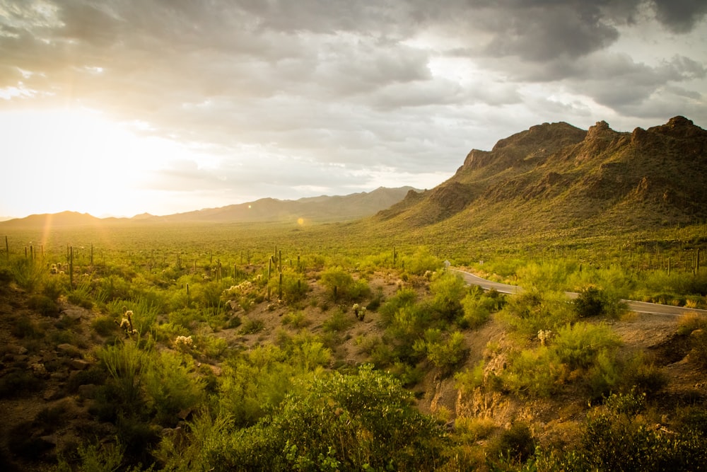 mountain range under cloudy sky