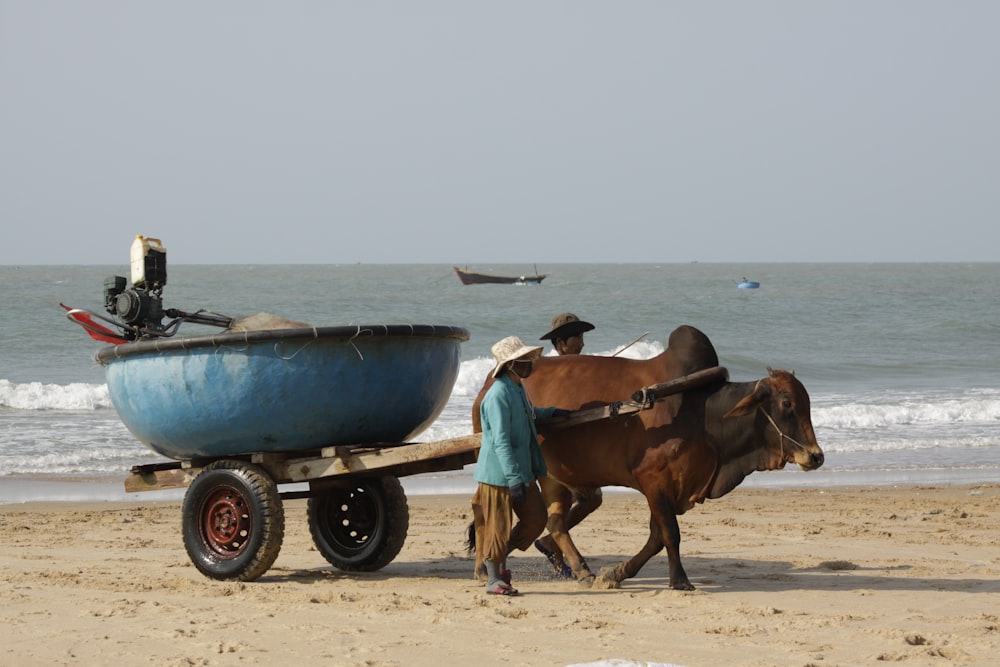 blue wheelbarrow