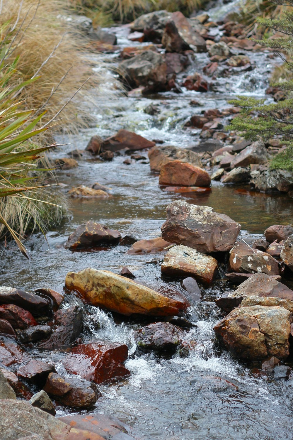 Plan d’eau près des rochers