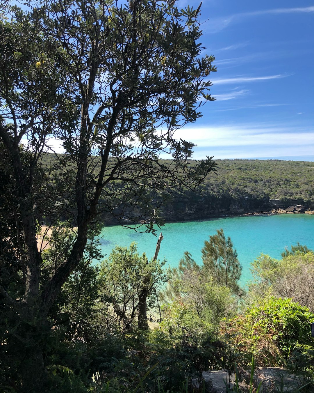 Nature reserve photo spot Providential Lookout Track Katoomba