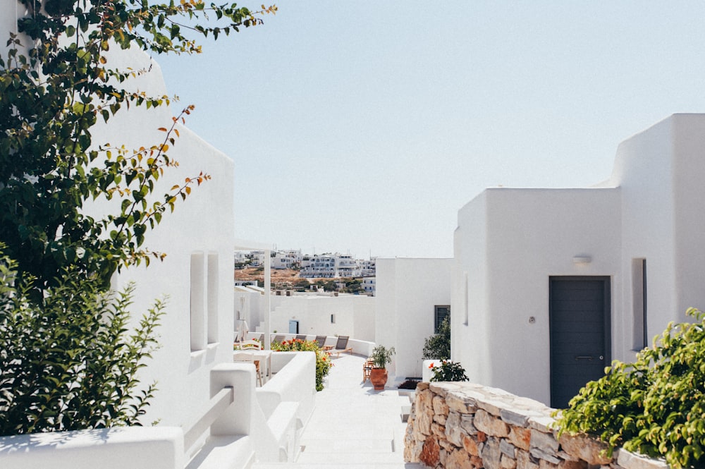 architectural photography of white and brown house