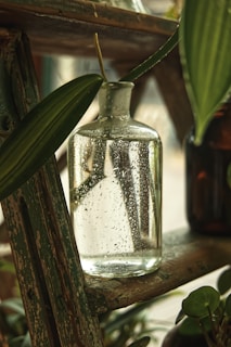 selective focus photography of glass bottle