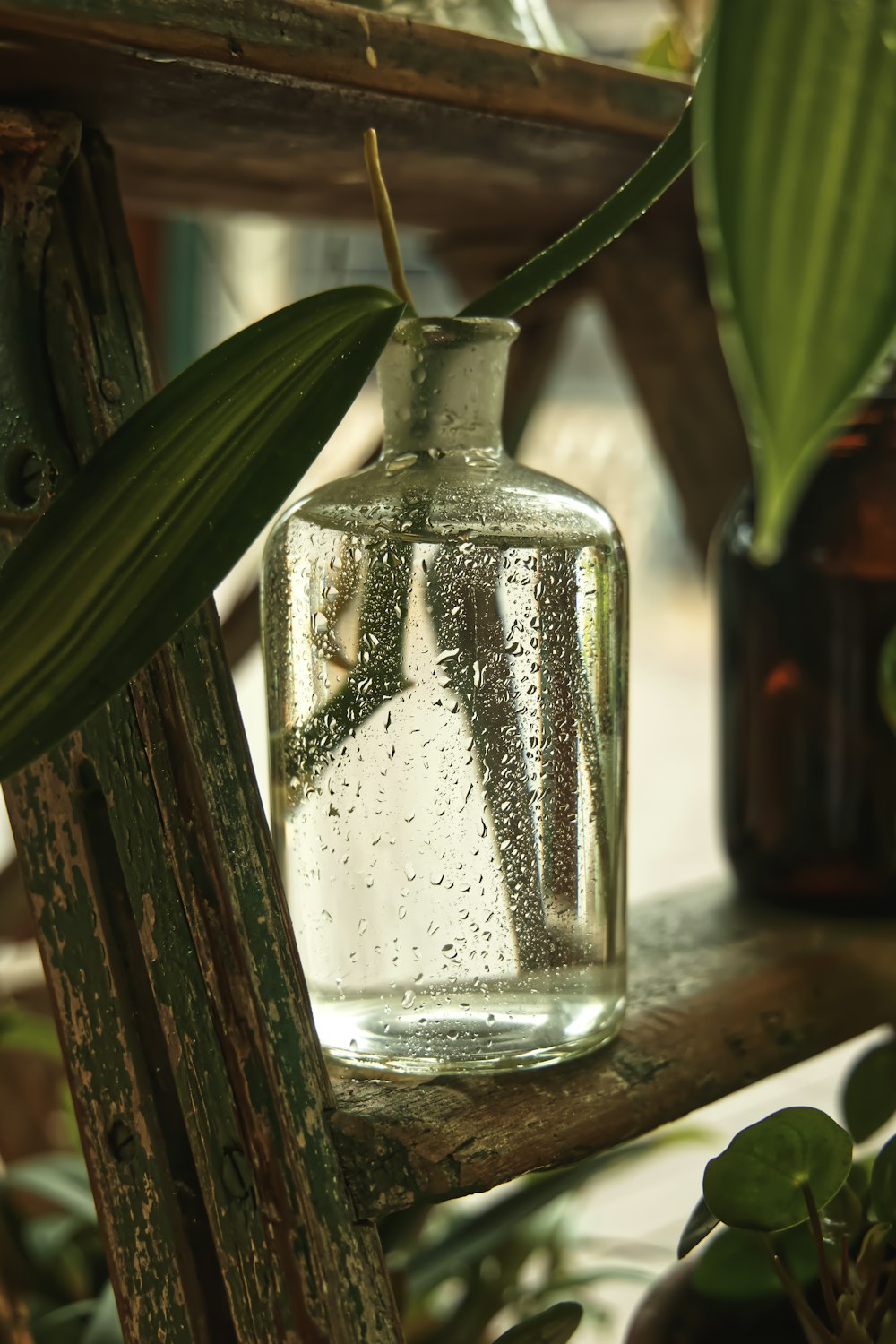 selective focus photography of glass bottle