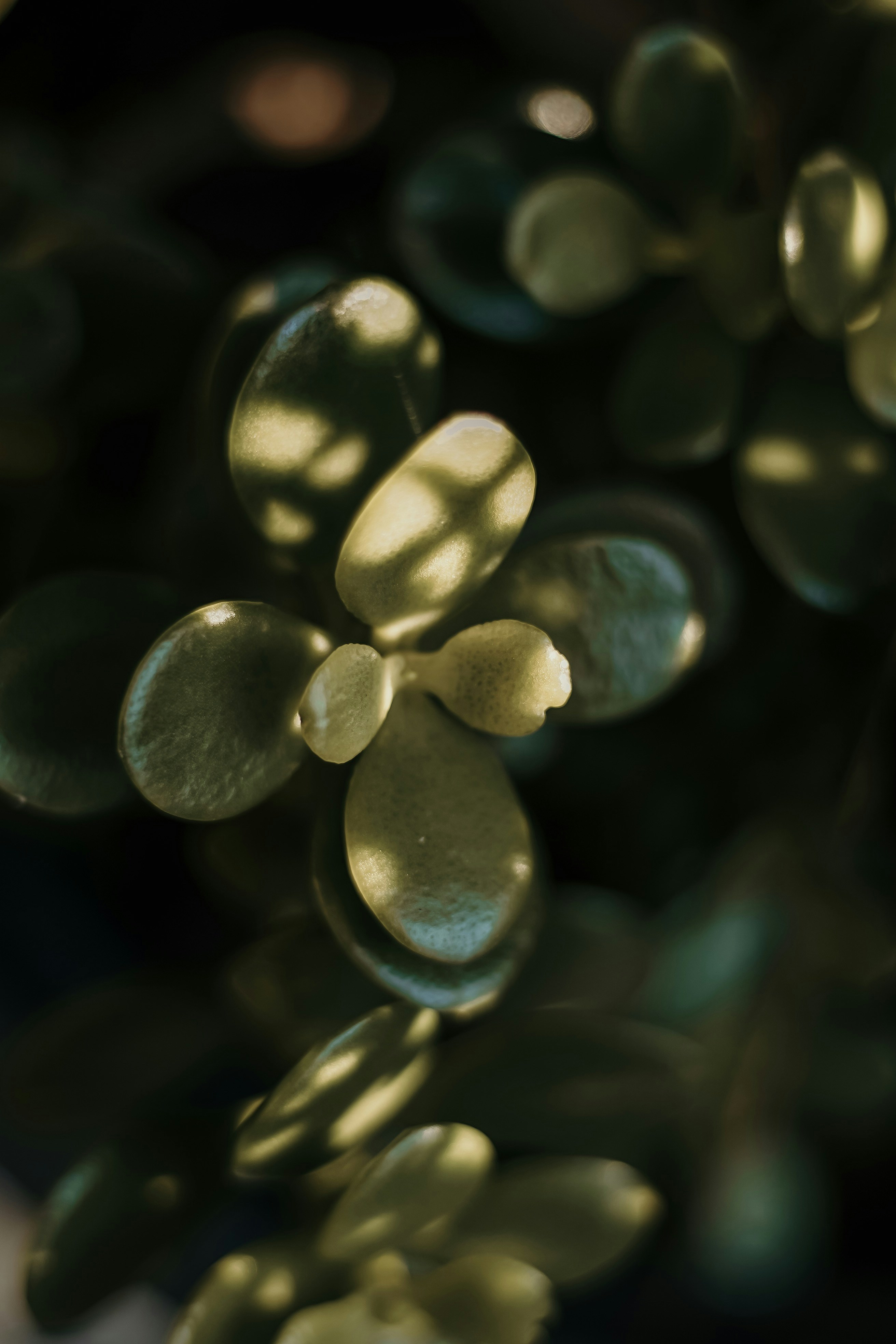 Photo by janu_bekker