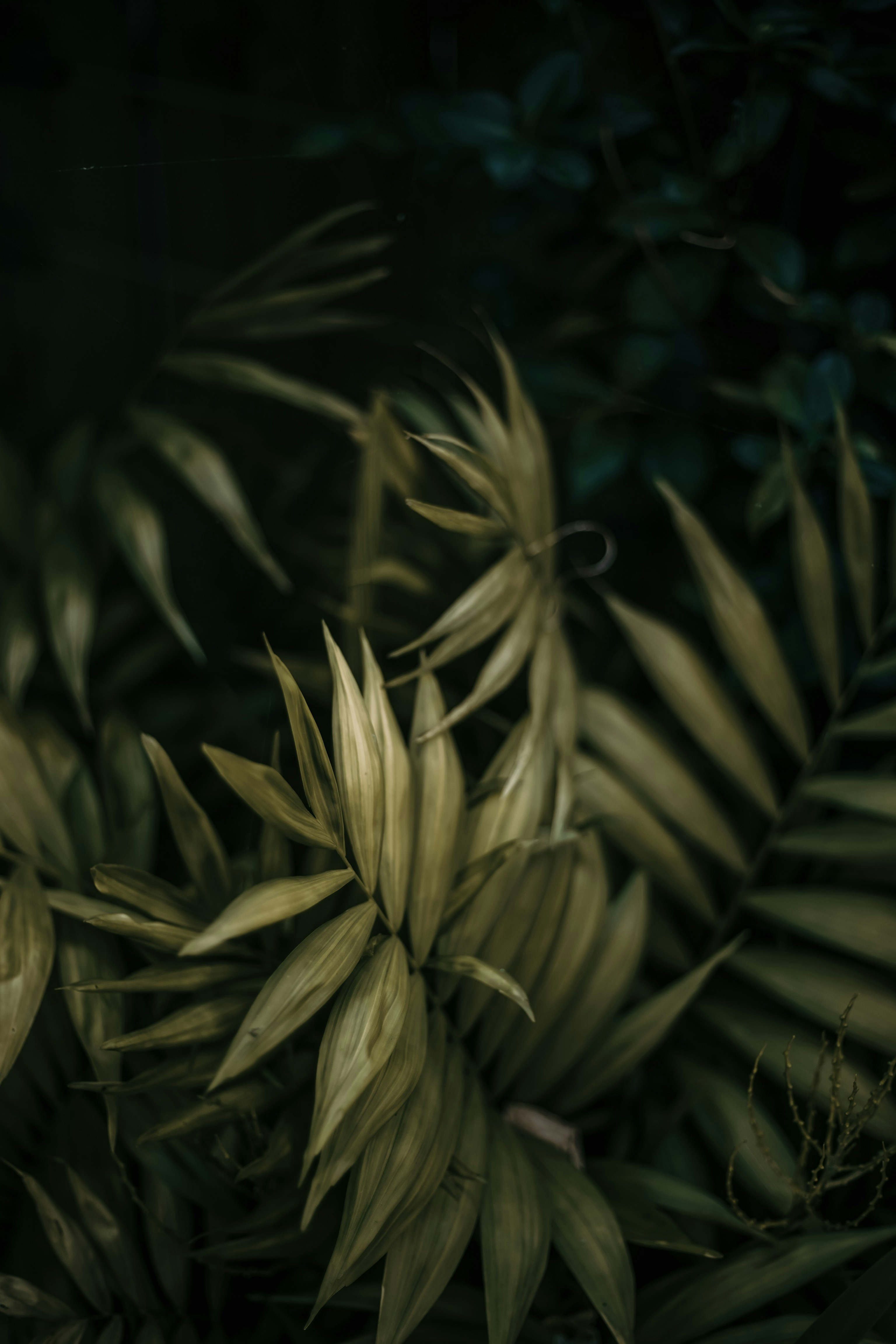 Photo by janu_bekker