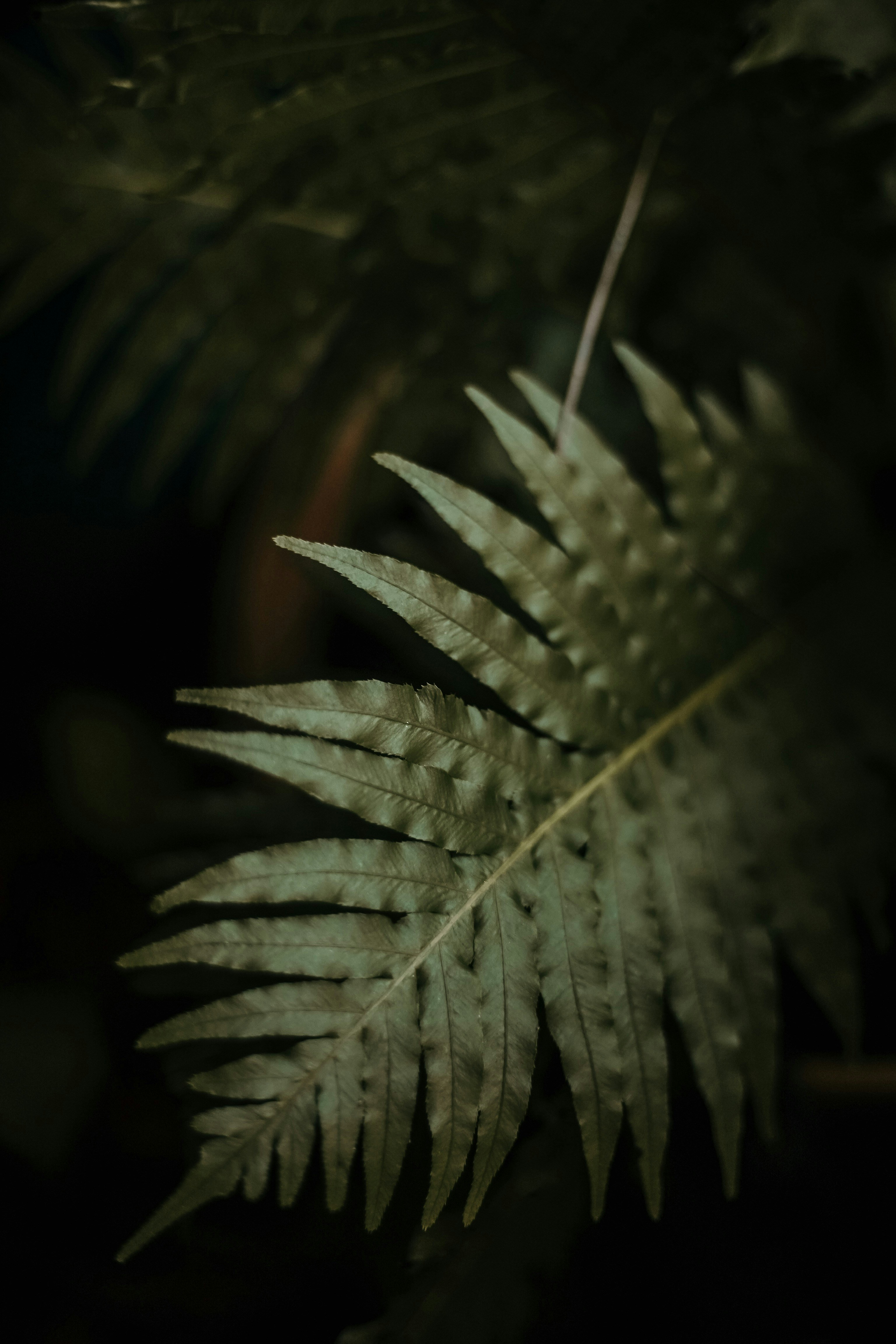 Photo by janu_bekker