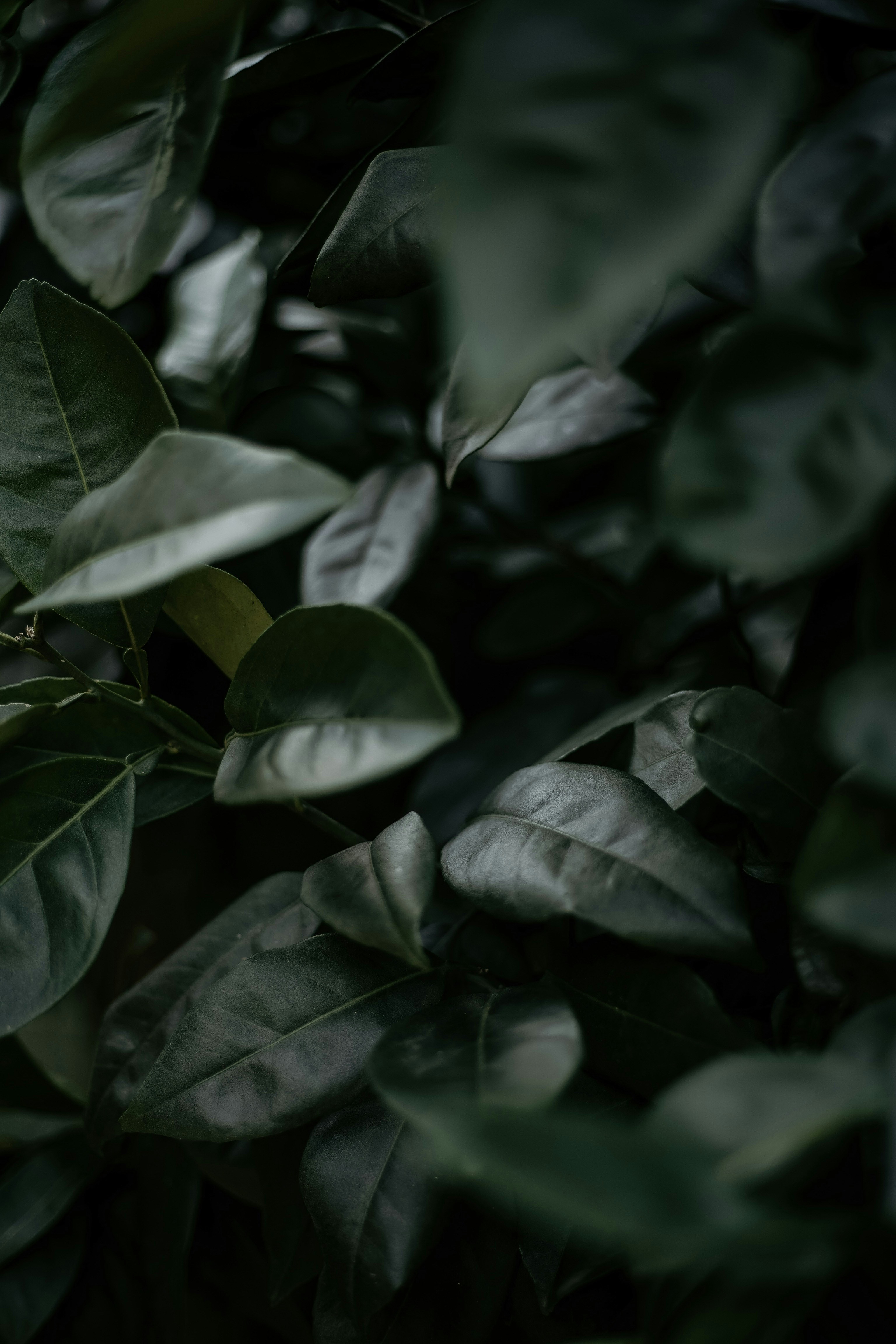 Photo by janu_bekker