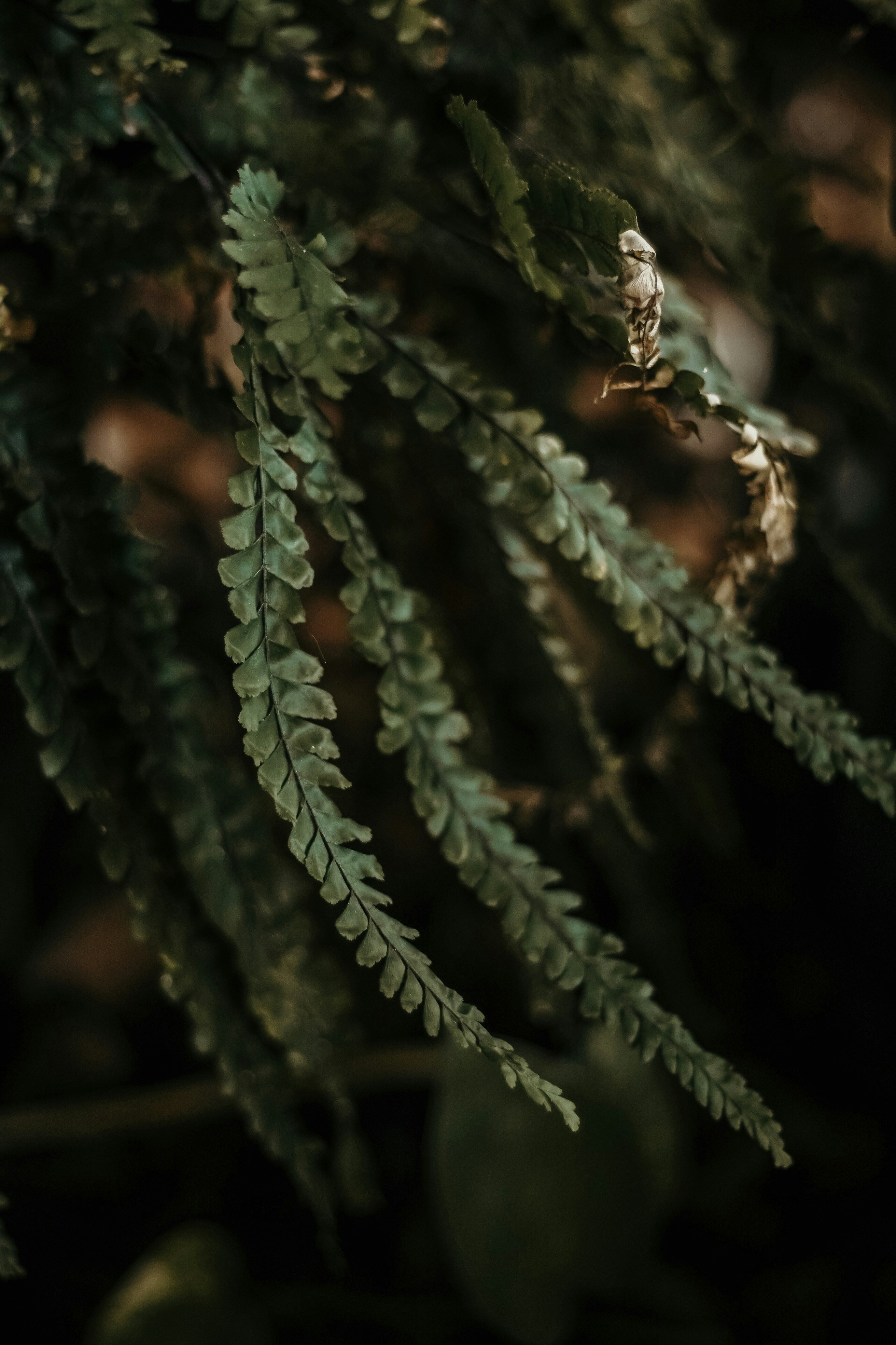 Photo by janu_bekker