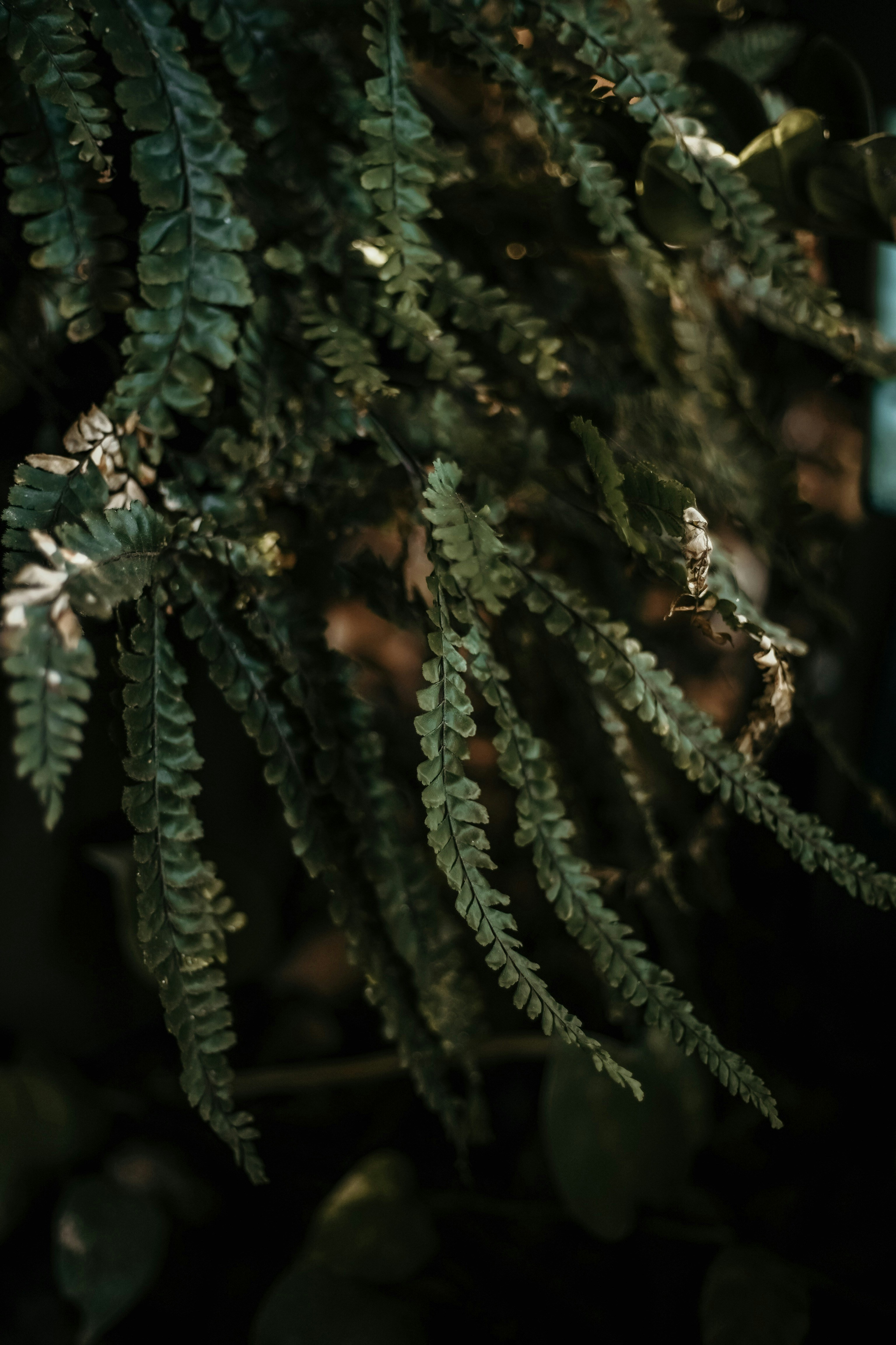 Photo by janu_bekker