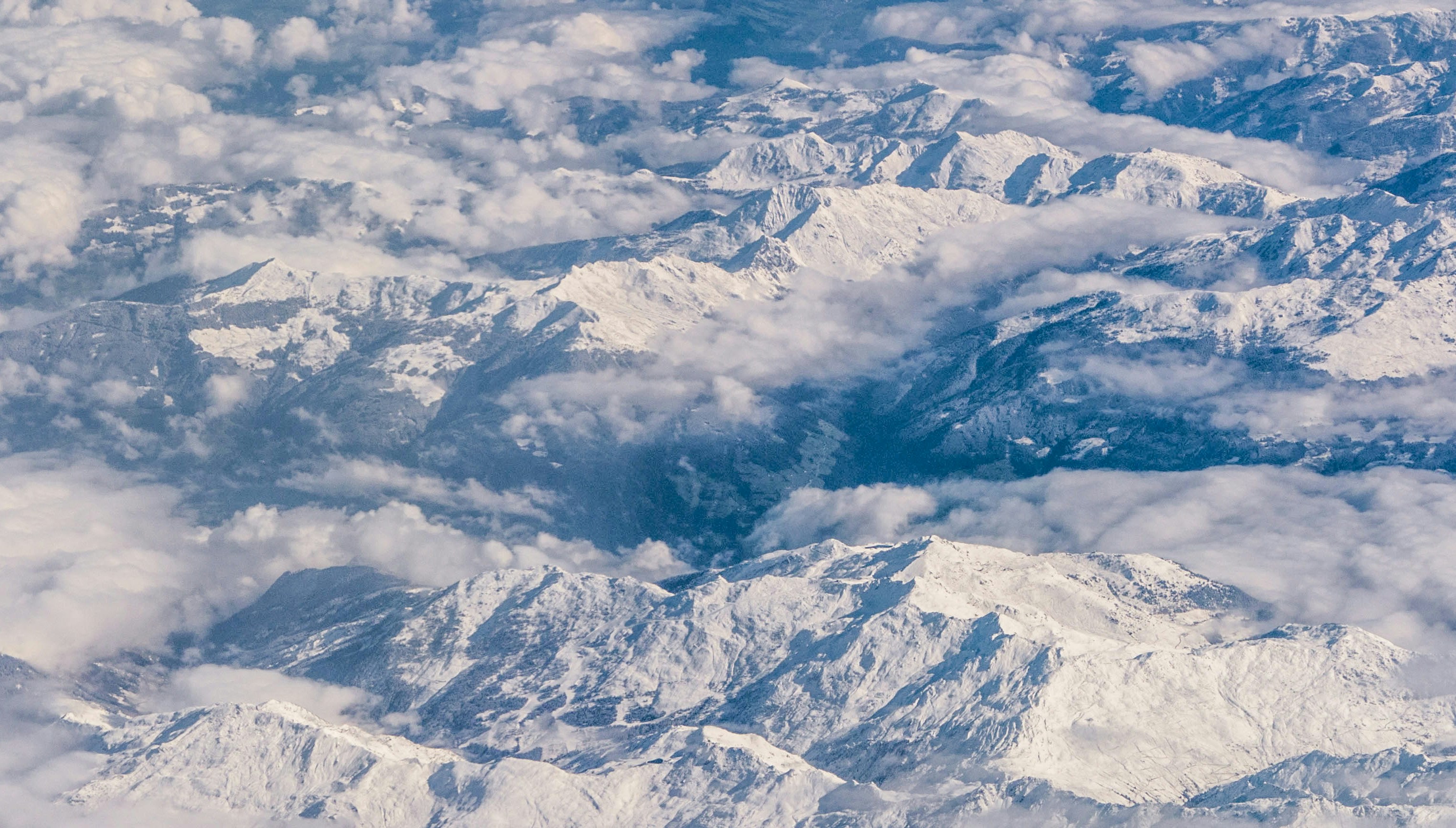 Photo by anton_lammert