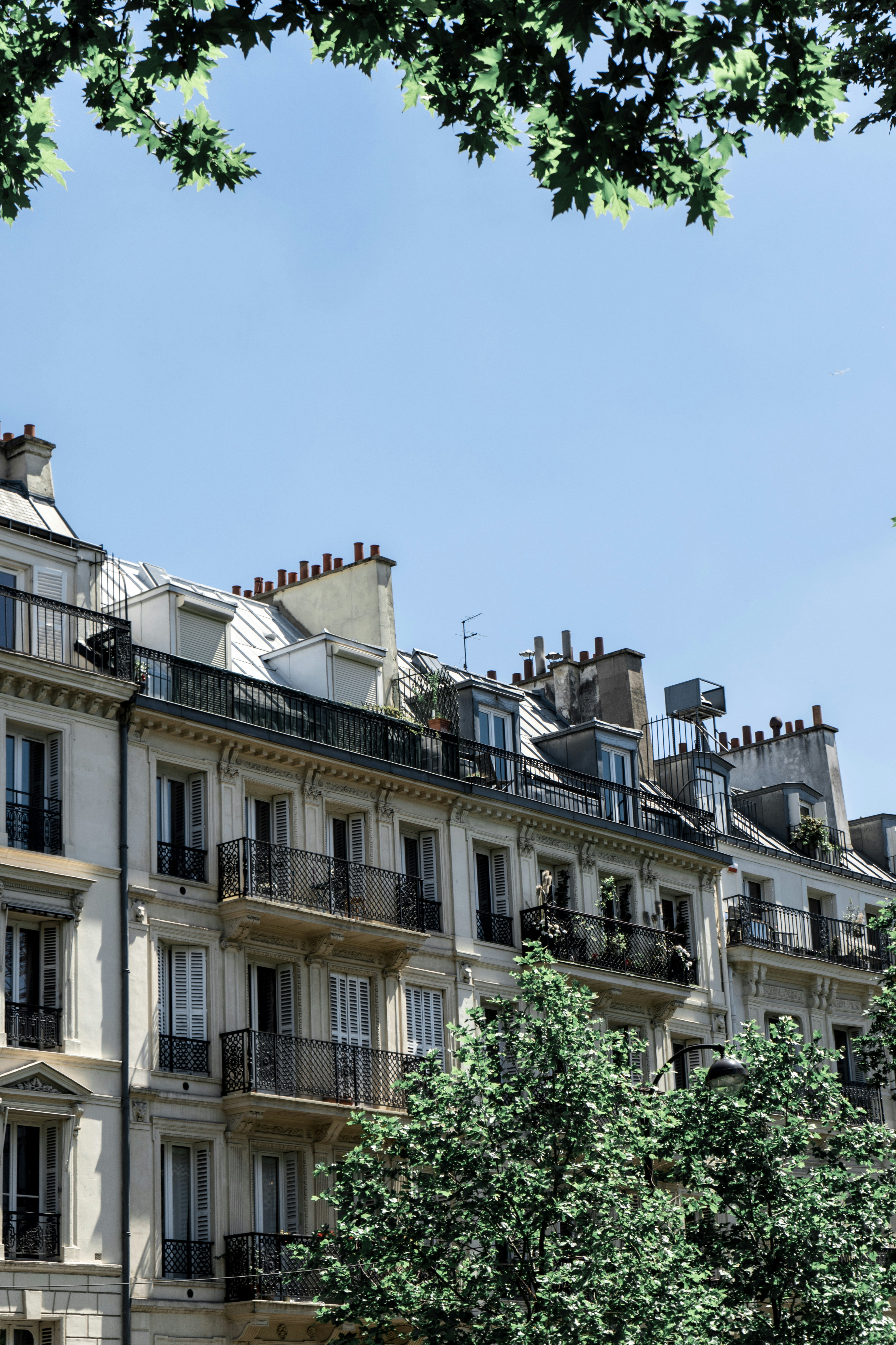 Photo by virussinside