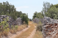 A peaceful path winding through the farm, lined with wildflowers and ancient stone markers.