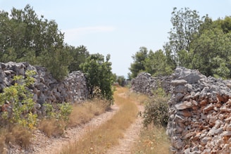 A peaceful path winding through the farm, lined with wildflowers and ancient stone markers.