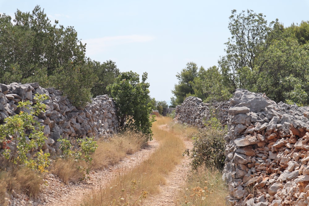road between stone wall during daytime