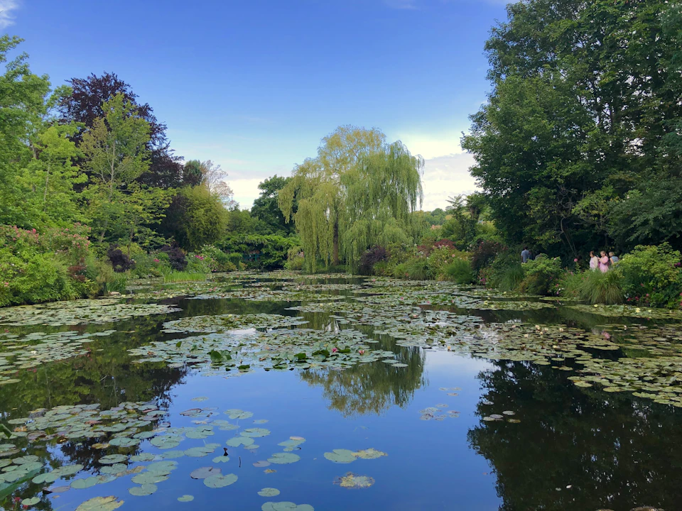 The image depicts a serene pond surrounded by lush greenery, including trees and bushes. The water is filled with lily pads floating on its surface, creating a tranquil atmosphere. In the distance, there are people enjoying the natural beauty of the park.